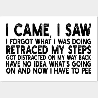 i came, i saw i forgot what i was doing retraced my steps got distracted on my way back have no idea what's going on and now i have to pee Posters and Art